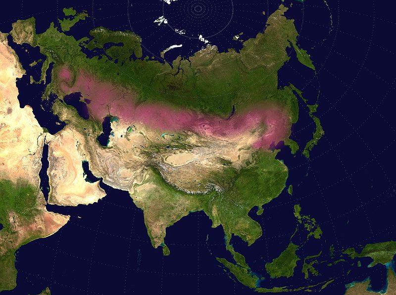 800px-eurasian_steppe_belt.jpg